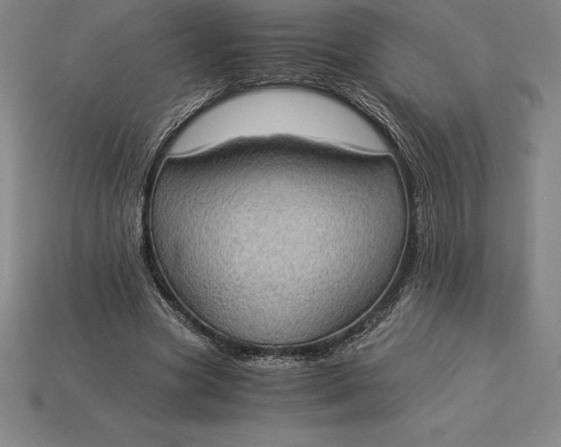 X0000115280537200911131831