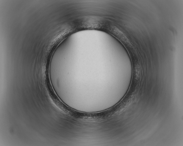 X0000115280538200911131831