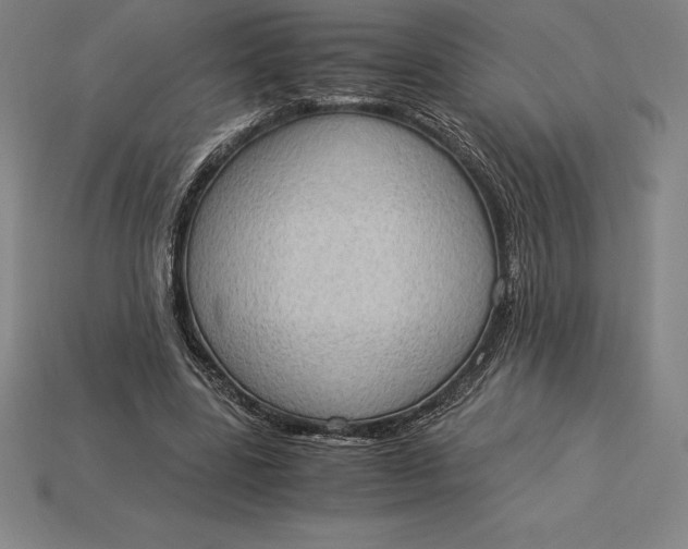 X0000115280539200911131831