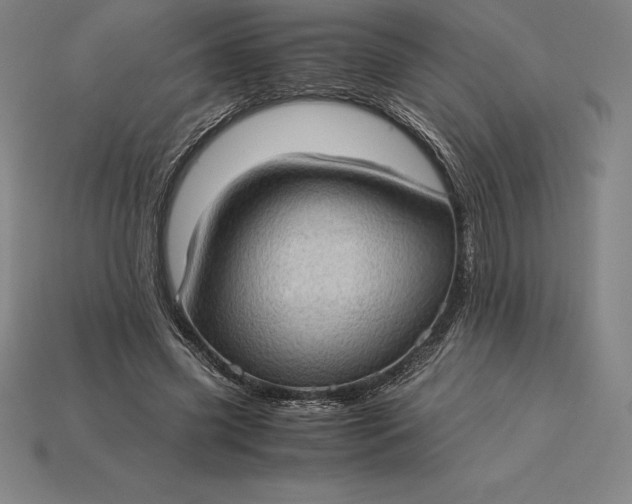 X0000115280541200911131831