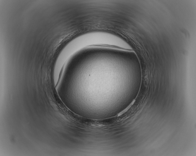 X0000115280547200911131831