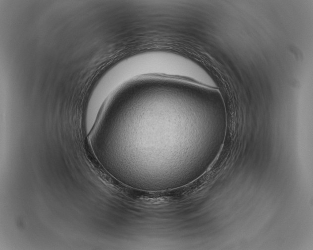 X0000115280553200911131831