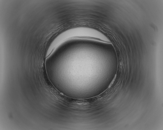 X0000115280555200911131831