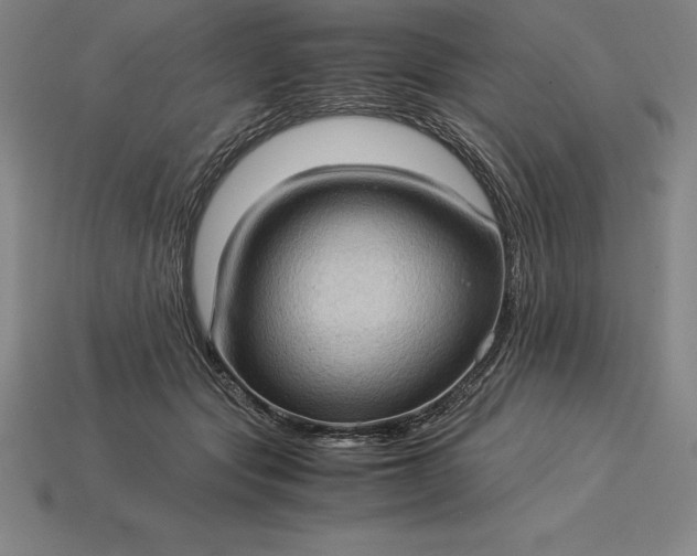 X0000115280557200911131831