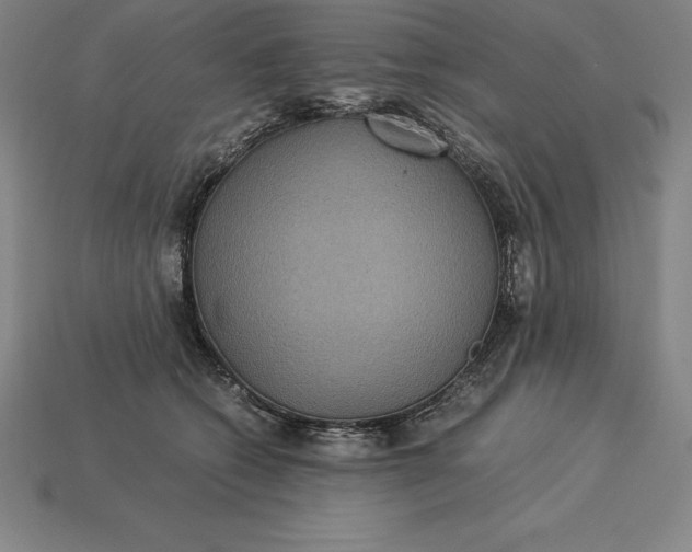 X0000115280562200911131831