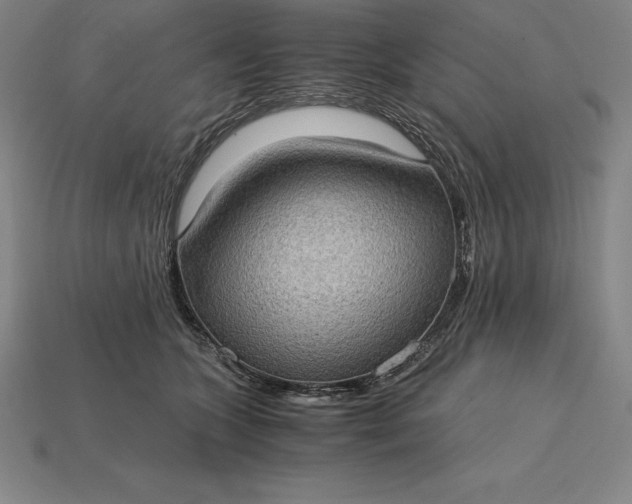 X0000115280563200911131831