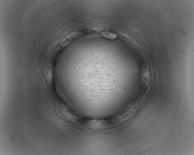 X0000115280566200911131831