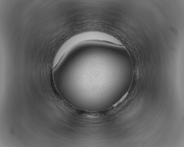 X0000115280567200911131831