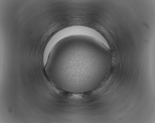 X0000115280573200911131831