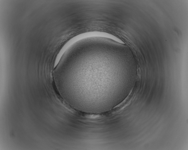 X0000115280575200911131831