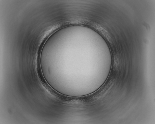 X0000115280578200911131831