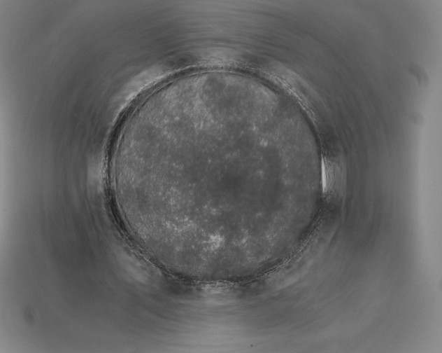 X0000115280579200911131831