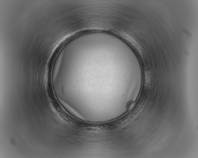 X0000115280580200911131831