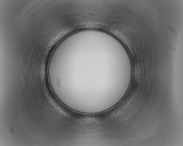 X0000115280581200911131831