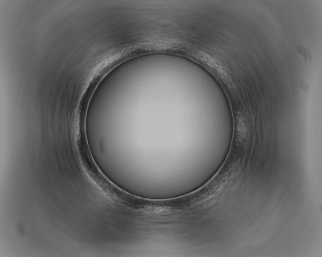 X0000115280582200911131831