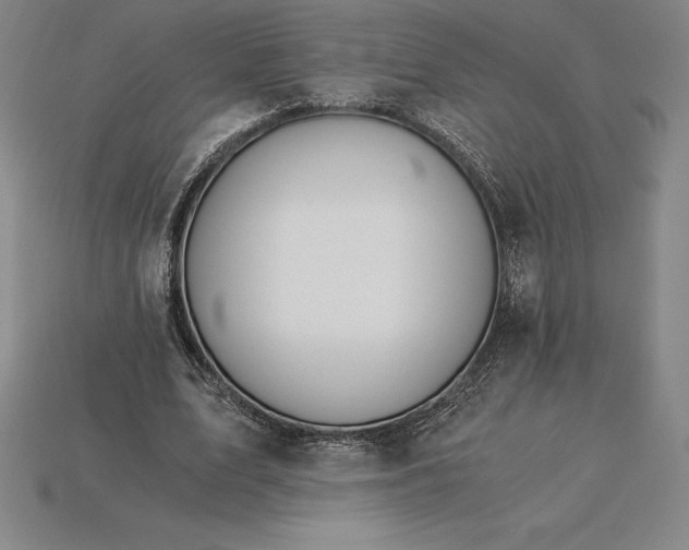 X0000115280583200911131830