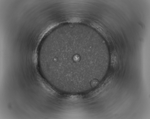 X0000115280584200911131830