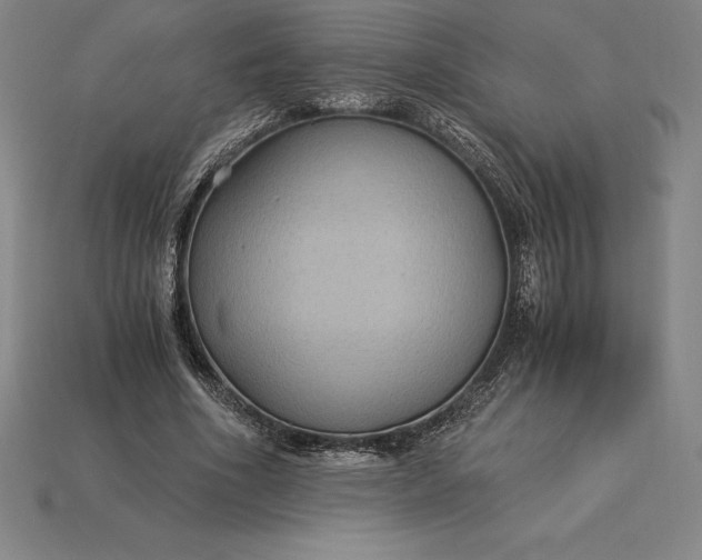 X0000115280586200911131830