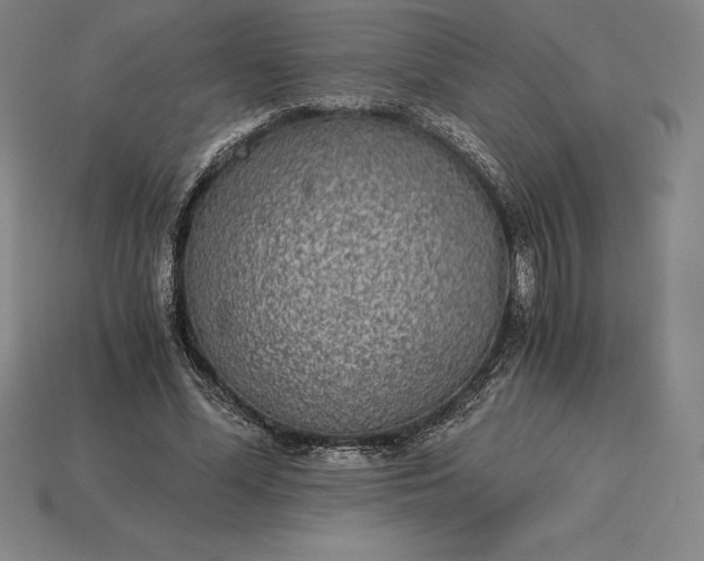 X0000115280588200911131830