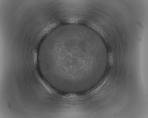 X0000115280589200911131830