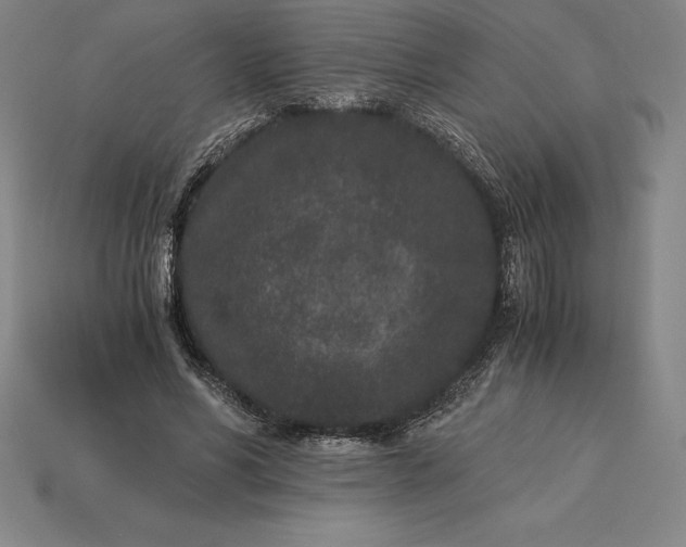 X0000115280590200911131830