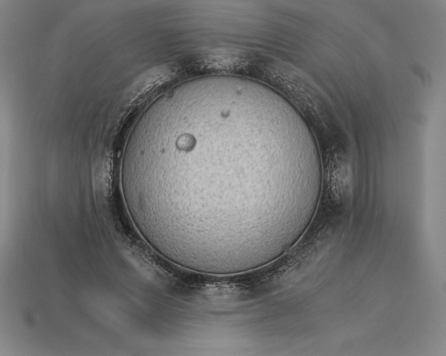 X0000115280591200911131830