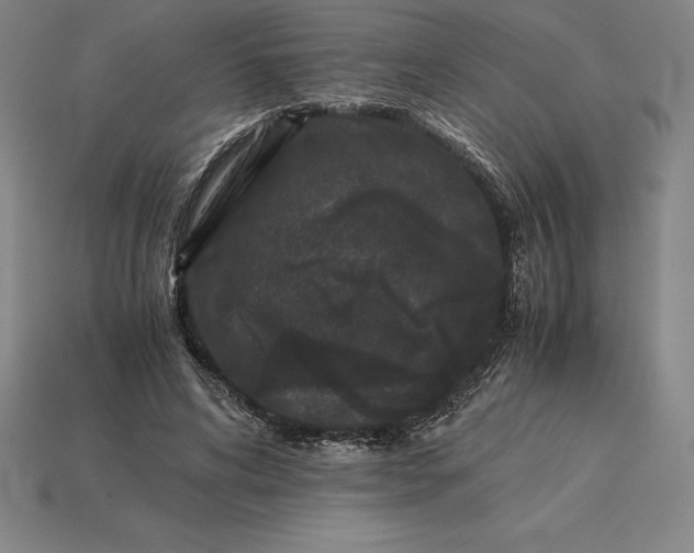 X0000115280592200911131830