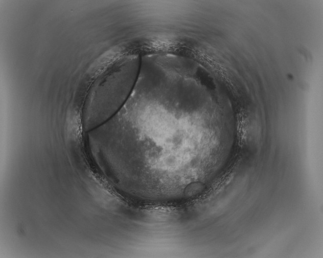 X0000115280593200911131830