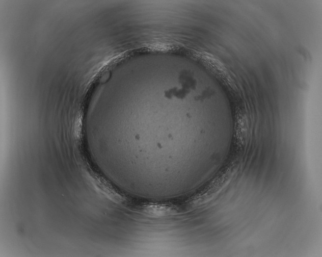 X0000115280596200911131830