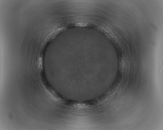 X0000115280598200911131830