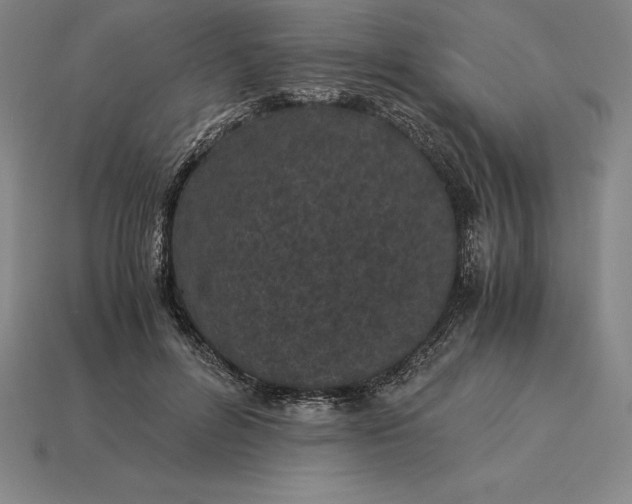 X0000115280600200911131830