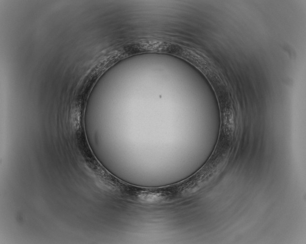 X0000115280602200911131830