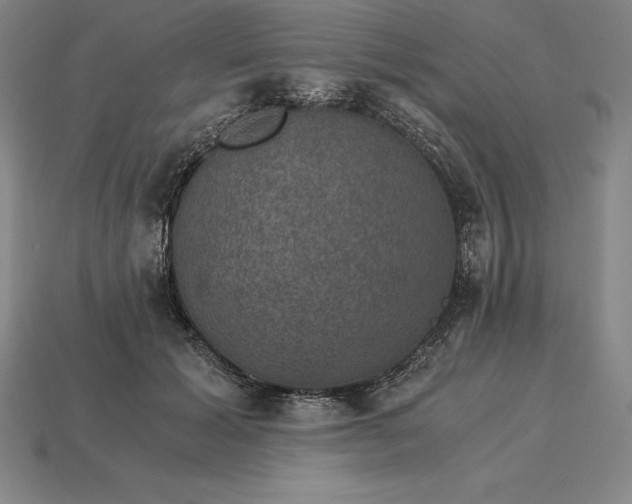 X0000115280605200911131830