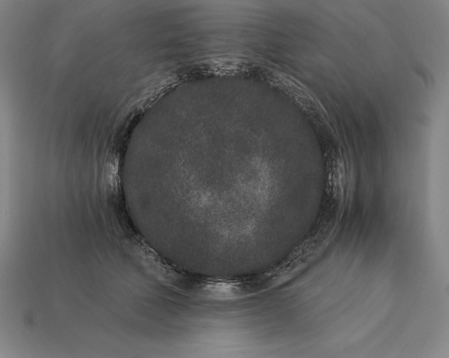 X0000115280610200911131830