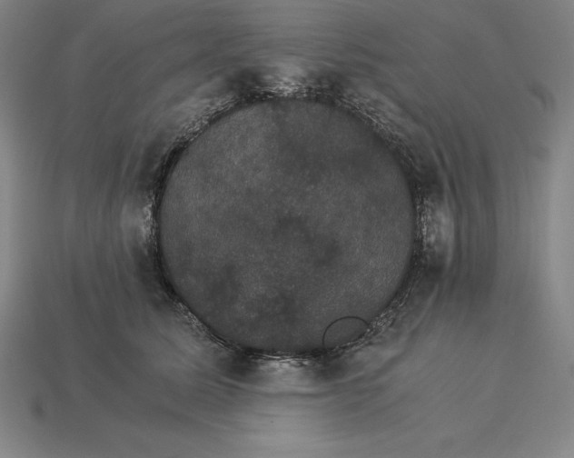 X0000115280611200911131830