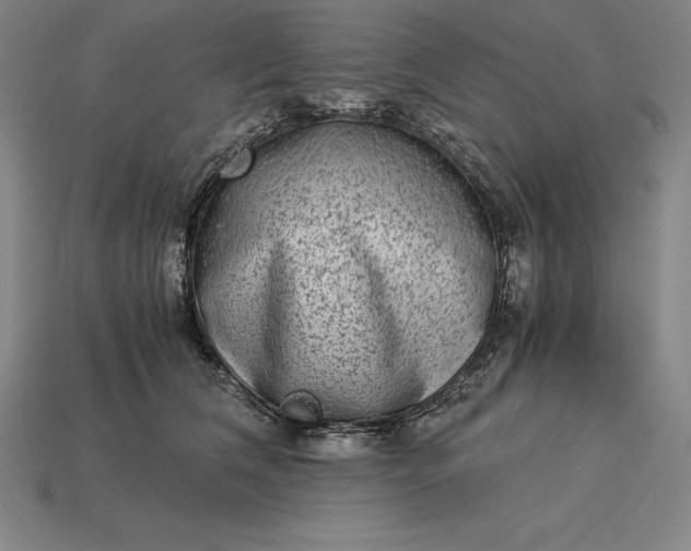 X0000115280612200911131830