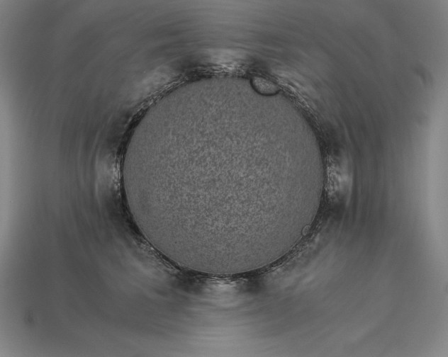 X0000115280613200911131830