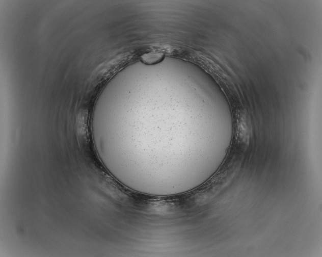 X0000115280616200911131830