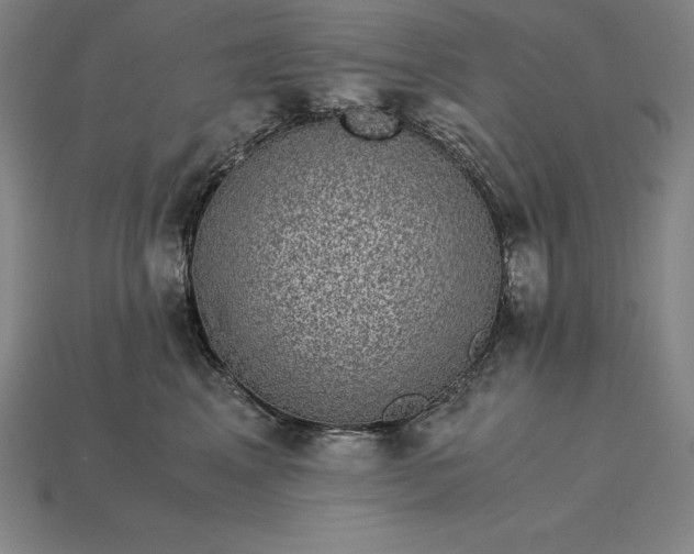 X0000115280617200911131830