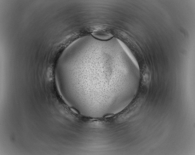 X0000115280620200911131830