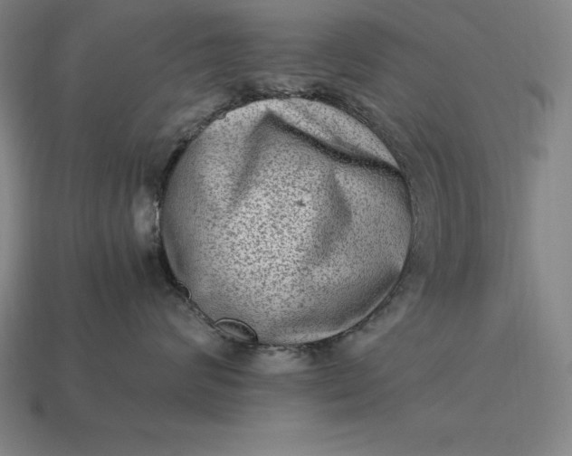 X0000115280624200911131830