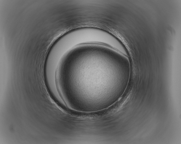 X0000115280625200911131829