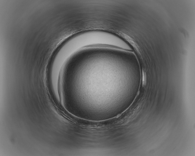 X0000115280627200911131829