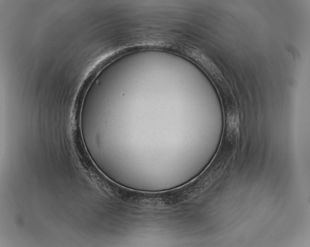 X0000115280628200911131829