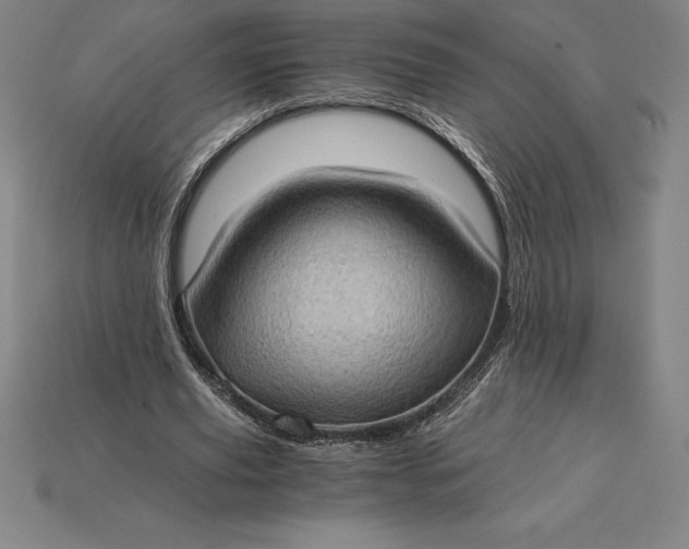 X0000115280629200911131829