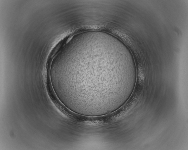 X0000115280630200911131829