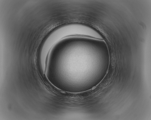 X0000115280631200911131829