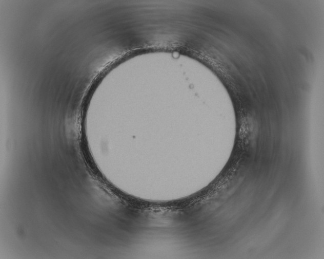 X0000115280632200911131829