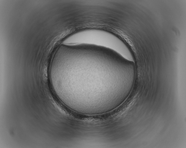 X0000115280633200911131829