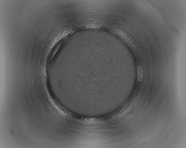 X0000115280634200911131829